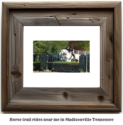 horse trail rides near me in Madisonville, Tennessee